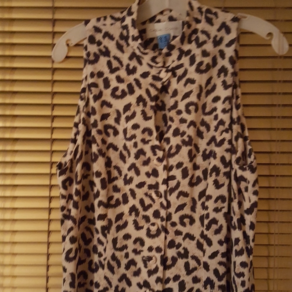 Lady's Dress
